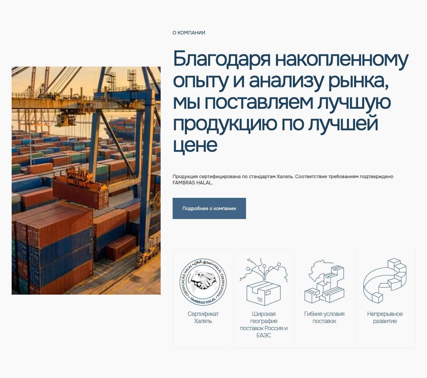 Блок о компании Agrosale: кадр порта, халяль-сертификат и четыре иконки