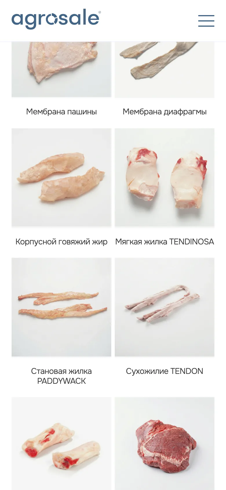 Каталог продукции Agrosale на телефоне