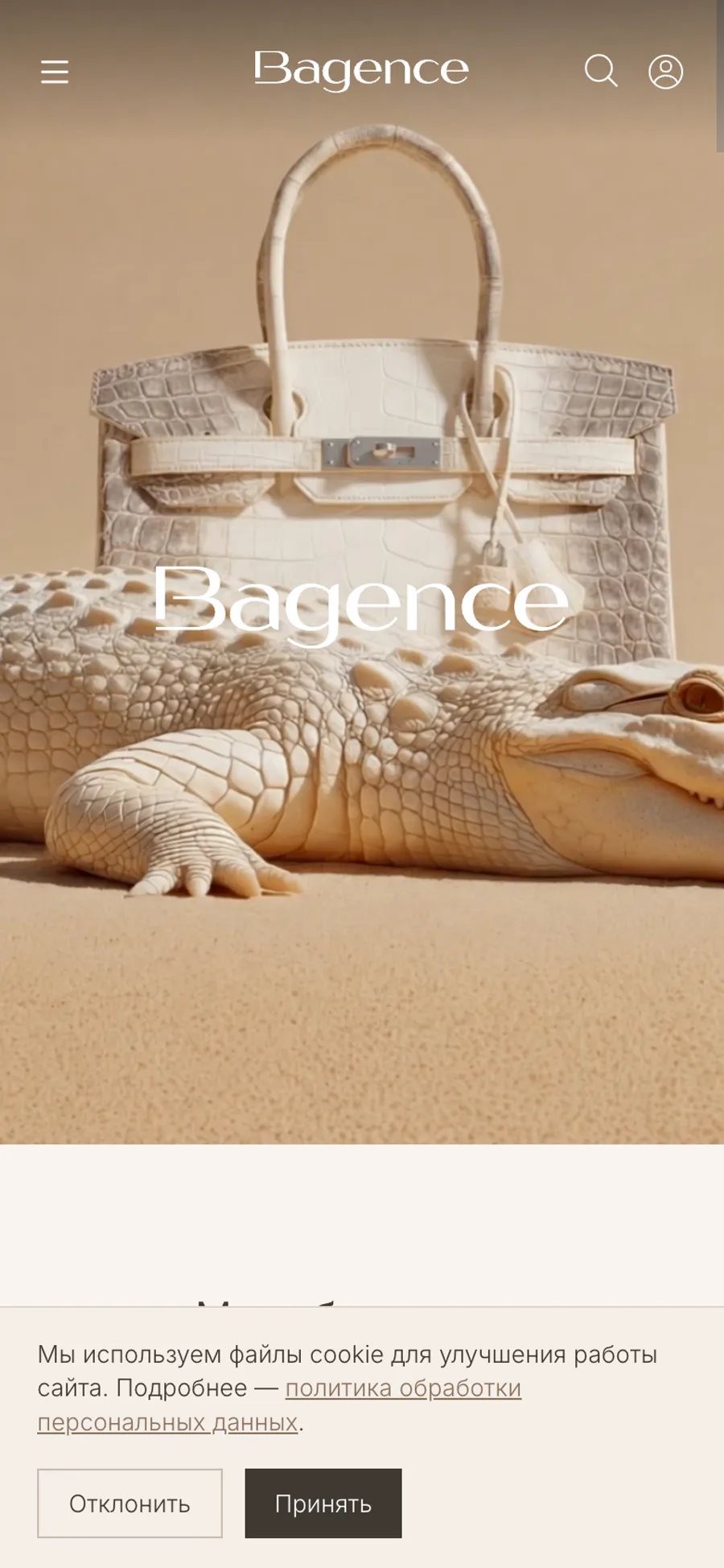 Мобильный первый экран Bagence